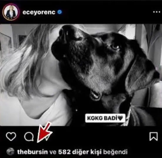 serenay sarikaya kerem bursin 6