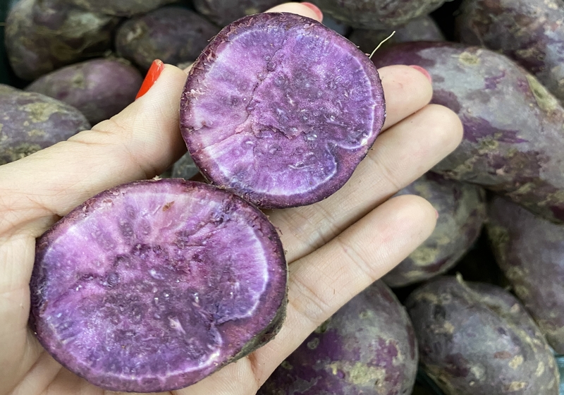 purple sweet potatoes 2022 11 14