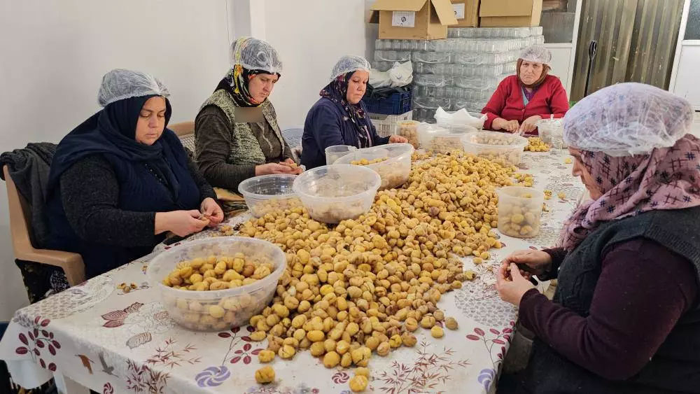 kestane sekeri nazilli 2