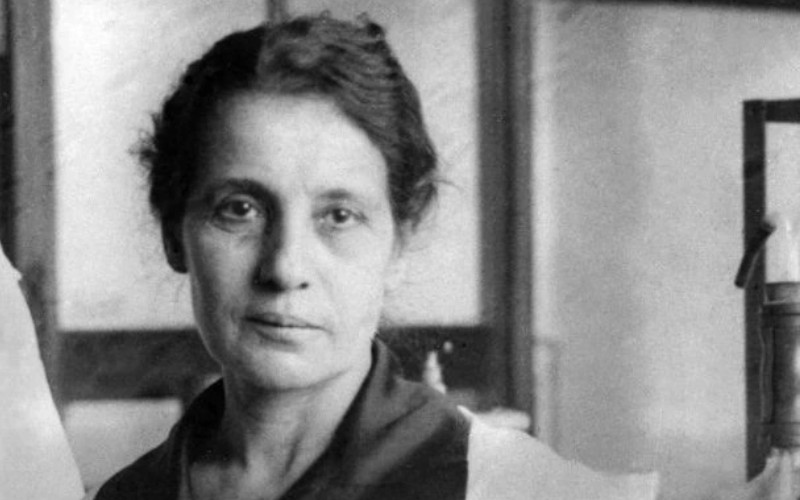 14lise meitner