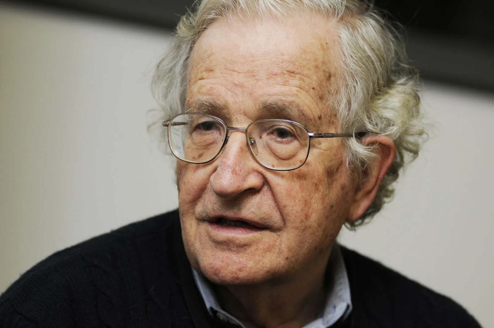 noam chomsky 2010 kopya