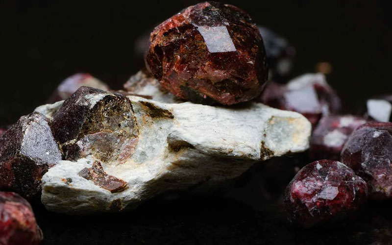 garnet tasi