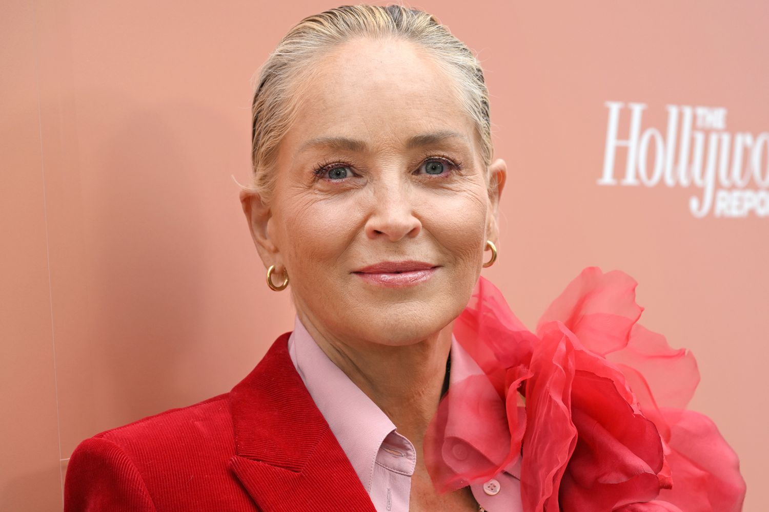 sharon stone rollout 100323 6 561bd78195c24c55853566c71ee5f9eb