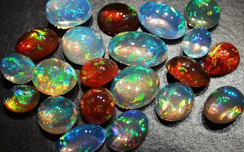 opal tasi