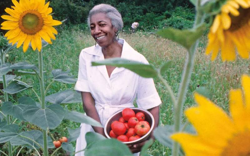 edna lewis