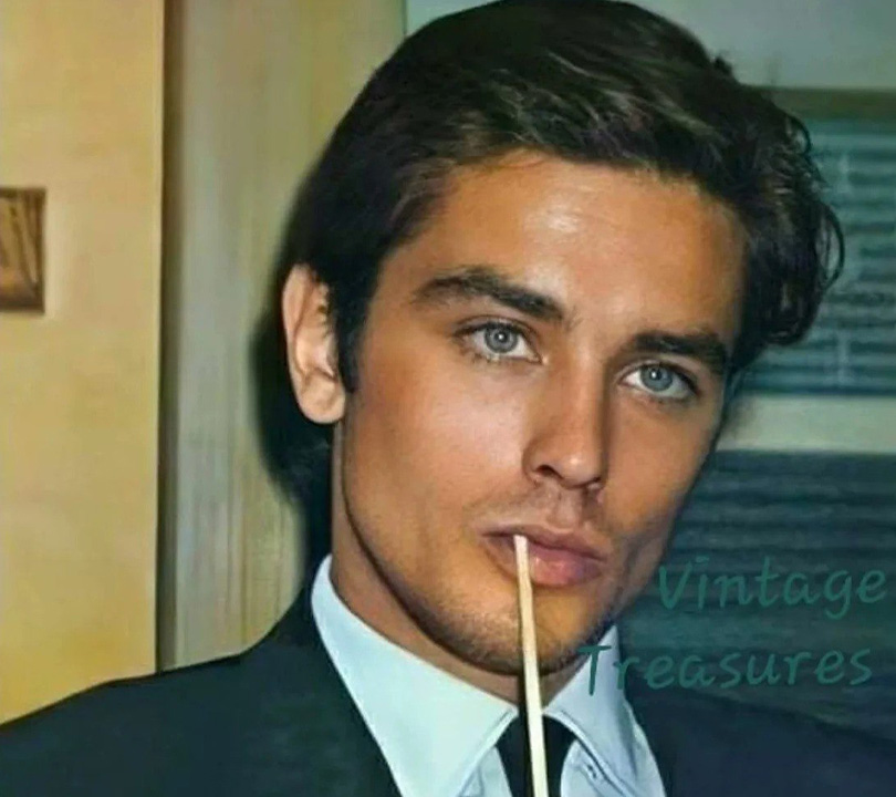 haber iciii alain delon