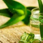 aloe vera jel ile sac bakimi maskesi tarifleri 5 tarif