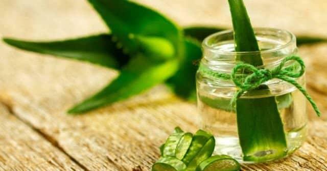 aloe vera jel ile sac bakimi maskesi tarifleri 5 tarif