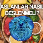 aslan burcu nasil beslenmeli aslanlara 5 gunluk diyet listesi