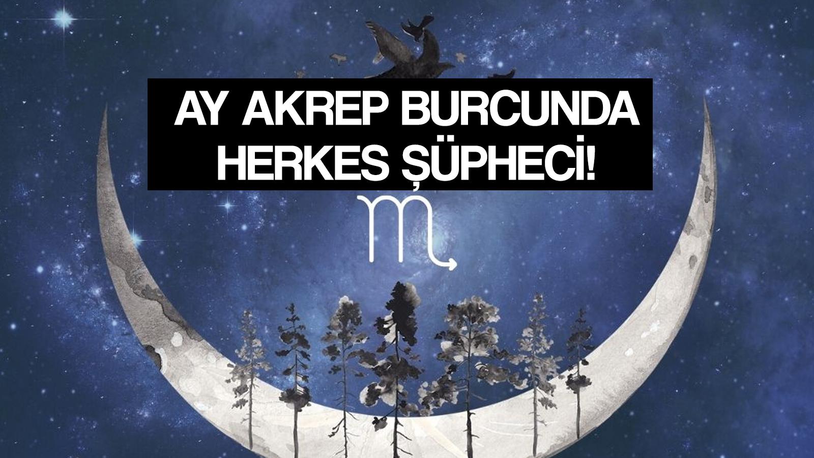 ay akrep burcunda ilerliyor herkes dedektif gibi kuskkulu kiskan hirsli hangi burclar dikkatli olmali astrolog nur sezin bayindir yazdi