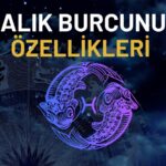 balik burcu ozellikleri nelerdir duyarlik ve duygusalligin nirvanasi baliklar nasil biridir