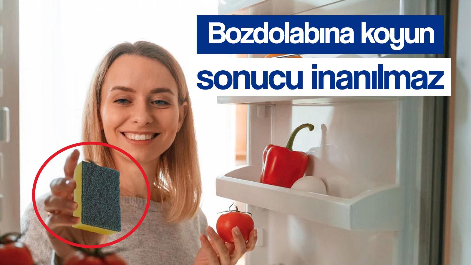 buzdolabina koyun mevye ve sebzelerin taze kalmasini sagliyor