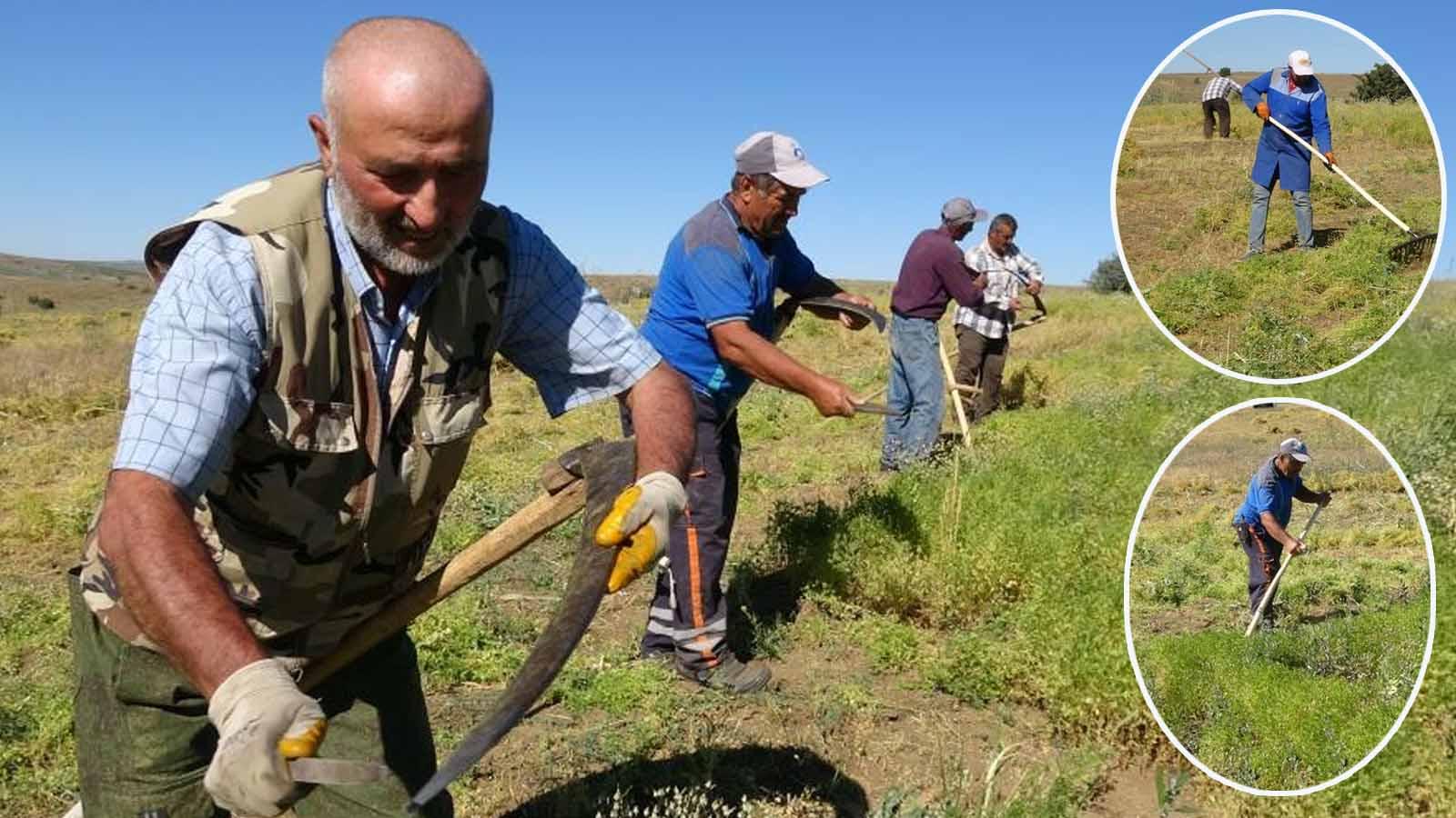 giderek tukeniyor aylik 45 bin liraya calisacak isci bulamiyorlar