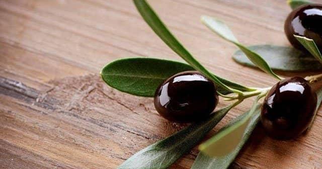 hamileler zeytin yiyebilir mi