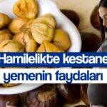 hamilelikte kestane yemenin bebege ve anneye 10 faydasi