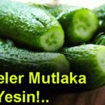 hamilelikte salatalik yemek zararlimi hamileler salatalik yiyebilirmi