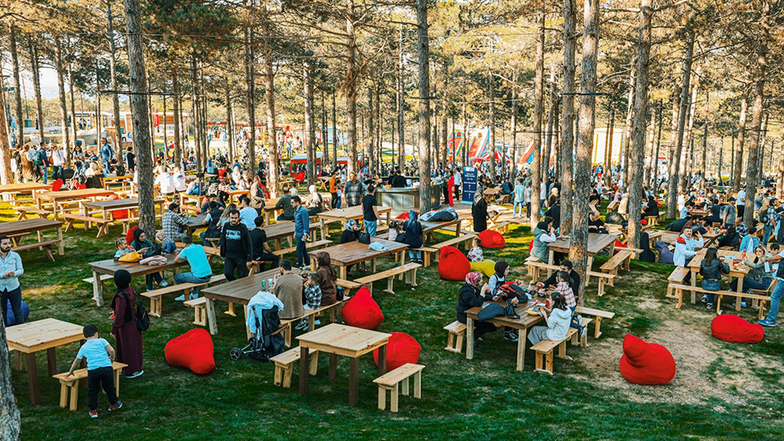 istanbul da gidilebilecek en guzel piknik alanlari