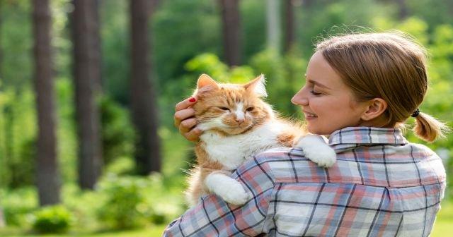 kedi tuyu yutmak akcigerde kiste ve hamilelerde dusuge neden olabiliyor