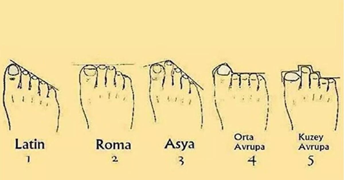 koken analizi ayak parmaginizin uzunlugu irkinizi temsil ediyor ne ayaksin sen