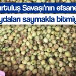 kurtulus savasi nin efsanesi murt meyvesi faydalariyla sasirtiyor hambeles meyvesinin faydalari neler