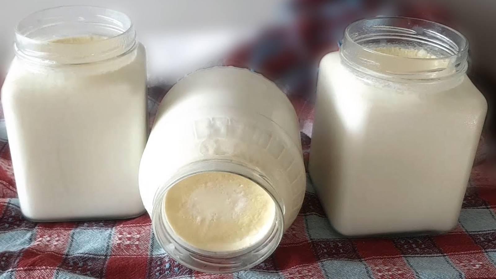 maya kullanma derdi yok evde tas gibi yogurt yapmanin sirri