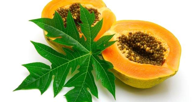 papaya bitkisi nerede satilir bulunur faydalari nelerdir