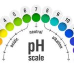 ph ne demek cilt idrar ph degeri ideal kac olmali