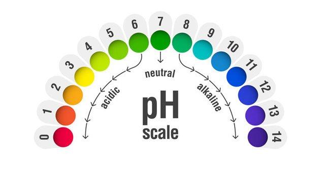 ph ne demek cilt idrar ph degeri ideal kac olmali