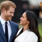 prenses olamayinca barista oldu meghan markle reklam yuzu oldu medya dalga gecti