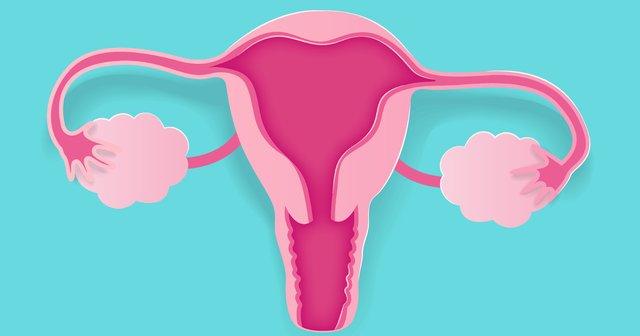 retrovert uterus rahimin arkaya donuk olmasi rahim tersligi nasil duzelir