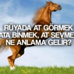 ruyada at gormek ne demek ruyada ata binmek at sevmek tabirleri ve yorumlari