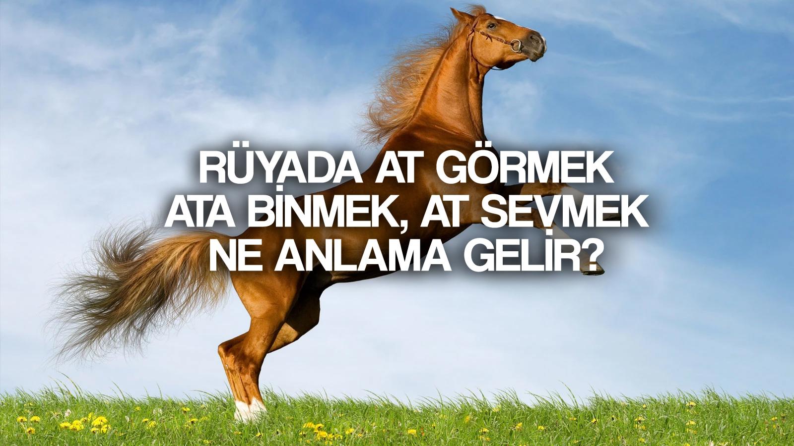 ruyada at gormek ne demek ruyada ata binmek at sevmek tabirleri ve yorumlari