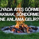 ruyada ates gormek ne anlama gelir ruyada ates yakmak ates sondurmek tabiri