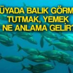 ruyada balik gormek ne anlama gelir ruyada cok balik gormek balik tutmak almak pisirmek ne demek