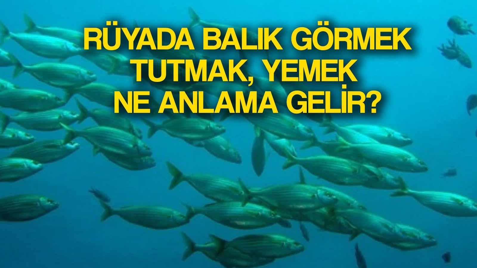 ruyada balik gormek ne anlama gelir ruyada cok balik gormek balik tutmak almak pisirmek ne demek