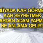 ruyada kar gormek ne anlama gelir ruyada kar yagdigini gormek kar seyretmek anlami ne demek