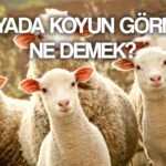 ruyada koyun gormek ne anlama gelir ruyada kara koyun kurbanlik koyun gormek ne demek koyun kesmek tabiri nedir