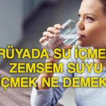 ruyada su icmek ne anlama gelir ruyada soguk su icmek buzlu su icmek tabirleri