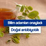 sarimsaktan 30 kat etkili bilimin onayladigi dunyanin en guclu antibiyotigi