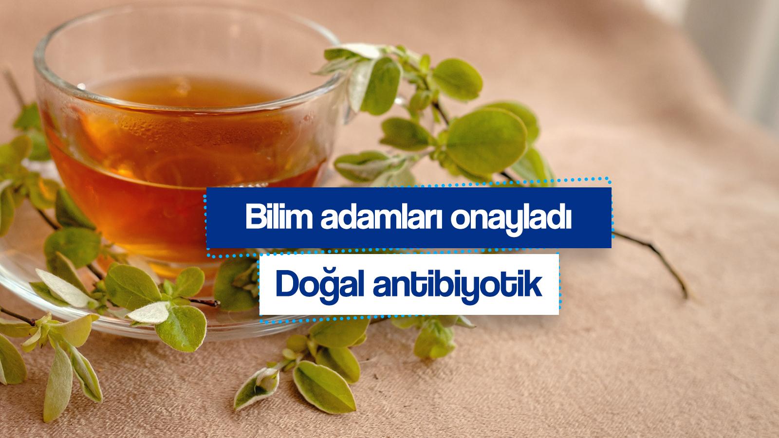 sarimsaktan 30 kat etkili bilimin onayladigi dunyanin en guclu antibiyotigi