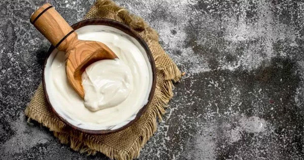 tas gibi yogurt mayalamanin 15 puf noktasi marifetli hanimlardan tuyolar