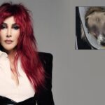 unlu sarkici hande yener bedeninde 20 den fazla mermi bulunan kopegi sahiplendi