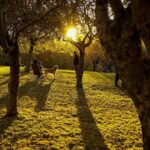 29 eylul pazar gunu hava nasil olacak meteoroloji acikladi