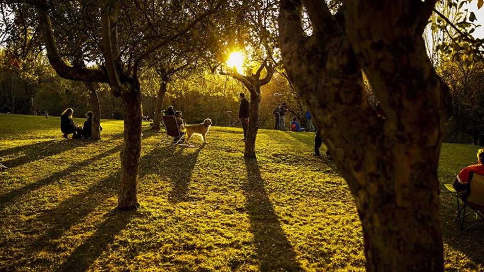 29 eylul pazar gunu hava nasil olacak meteoroloji acikladi