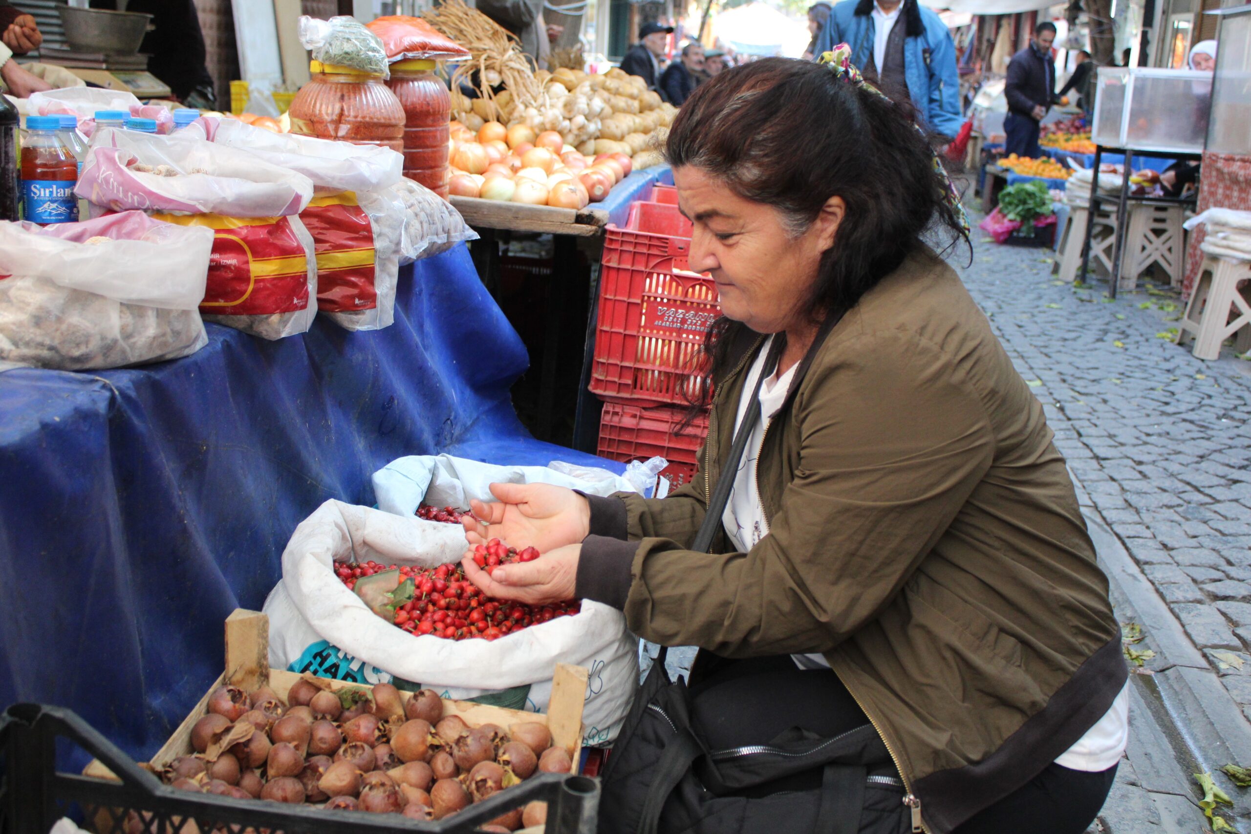 Kuşburnu faydaları nelerdir? 