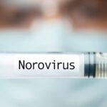 norovirüs