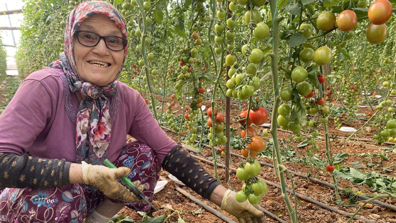 kocasi 5 cocuguyla terk etti 46 sene ev temizleyen 75 yasindaki kadin simdi serada calisiyor