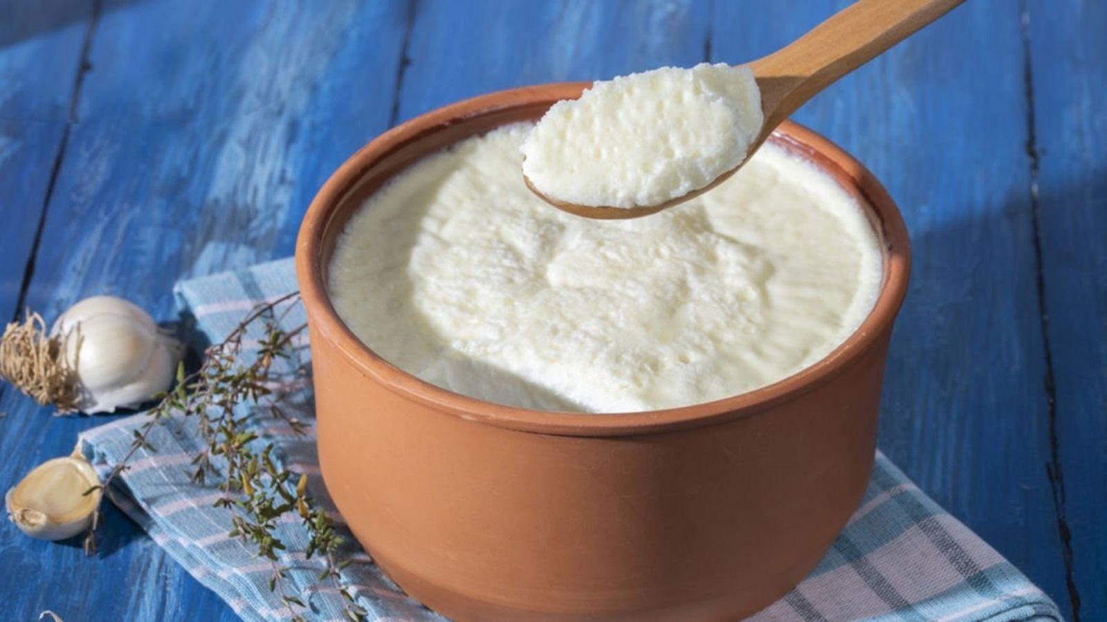 tas gibi yogurt mayalamak istiyorsaniz mutlaka bu formulu uygulayin