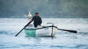 yaren leylek ulusal basın